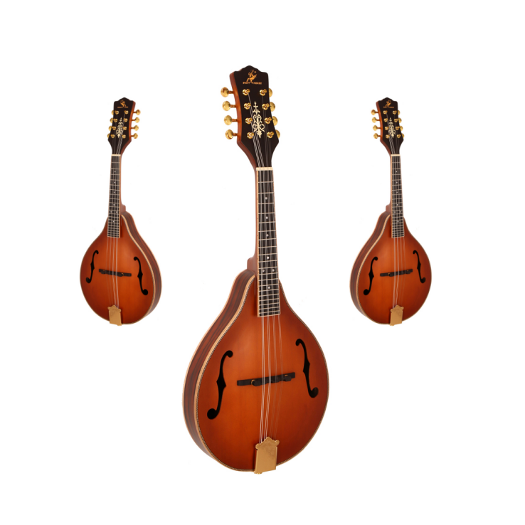 Musical Instrument Mandolin - رائجة البيع الكلاسيكية 8 سلاسل آلة