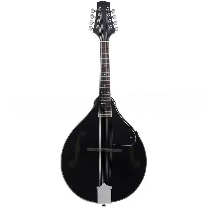 Musical Instrument Mandolin - آلة موسيقية تبتية تقليدية: ماندولين بلوحة