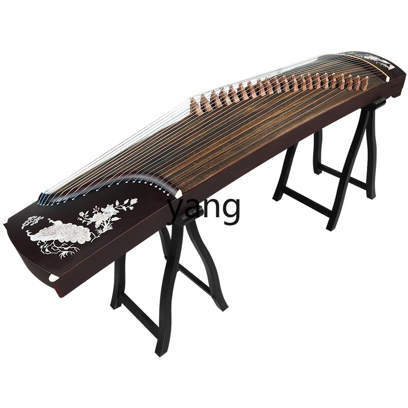 Musical Instrument Guzheng - اختبار مستوى المبتدئين 10: عزف احترافي