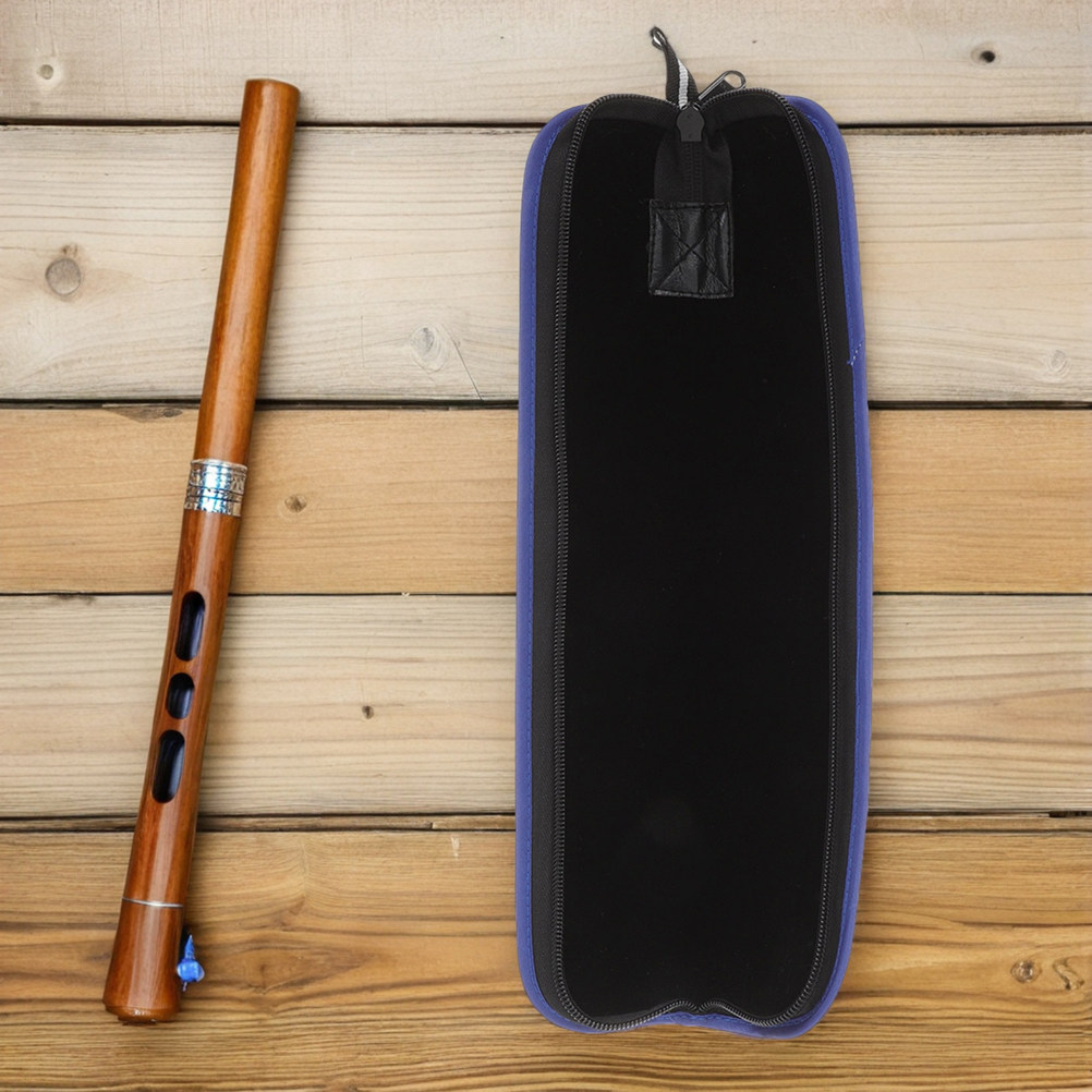 حقيبة حمل لجهاز تسجيل الصوت (4 - مراجعة Musical Instrument Recorder وسعره