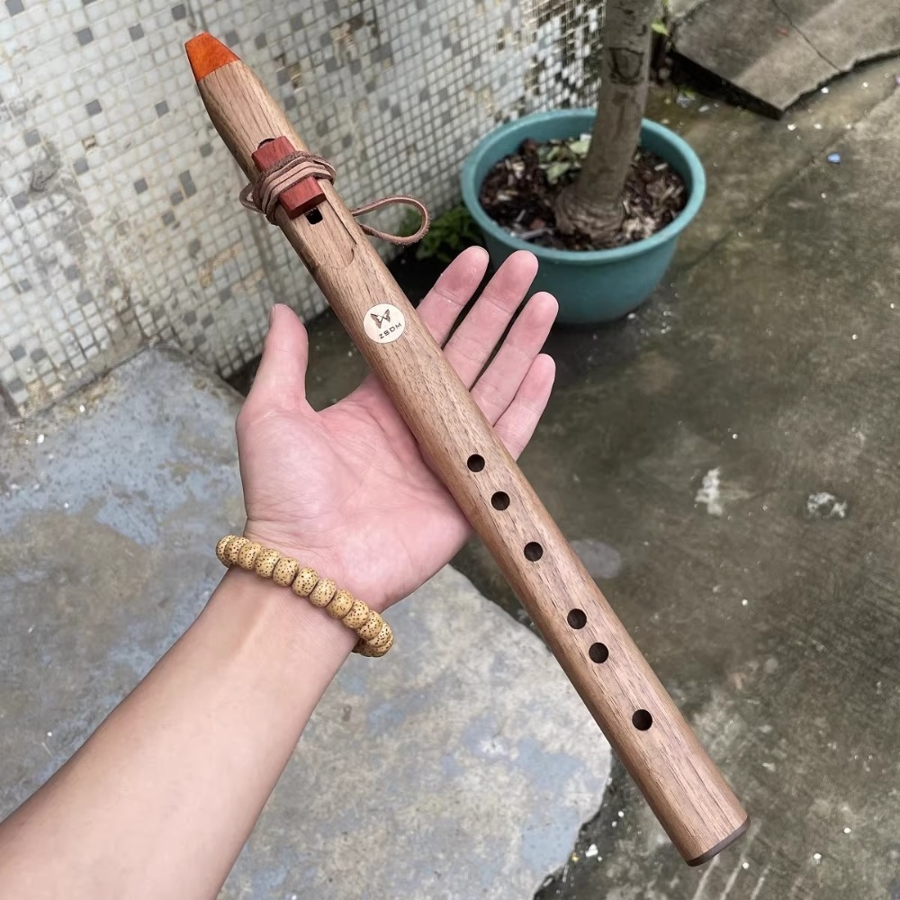 فلوت خشبي عمودي بدرجات صوت B/C - مراجعة Musical Instrument Recorder وسعره