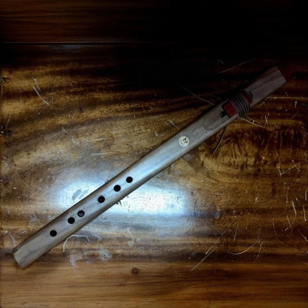فلوت خشبي عمودي بدرجات صوت B/C - مراجعة Musical Instrument Recorder وسعره