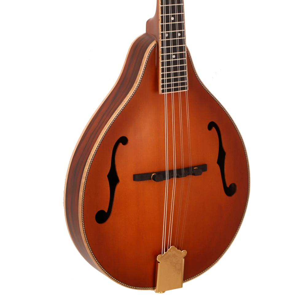 رائجة البيع الكلاسيكية 8 سلاسل - مراجعة Musical Instrument Mandolin وسعره