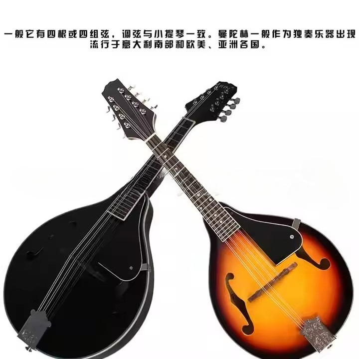 آلة موسيقية تبتية تقليدية: مان - مراجعة Musical Instrument Mandolin وسعره
