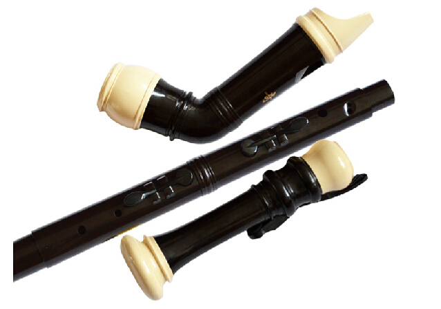 المهنية 8 ثقوب الباروك باس الر - مراجعة Musical Instrument Recorder وسعره