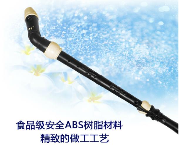 المهنية 8 ثقوب الباروك باس الر - مراجعة Musical Instrument Recorder وسعره