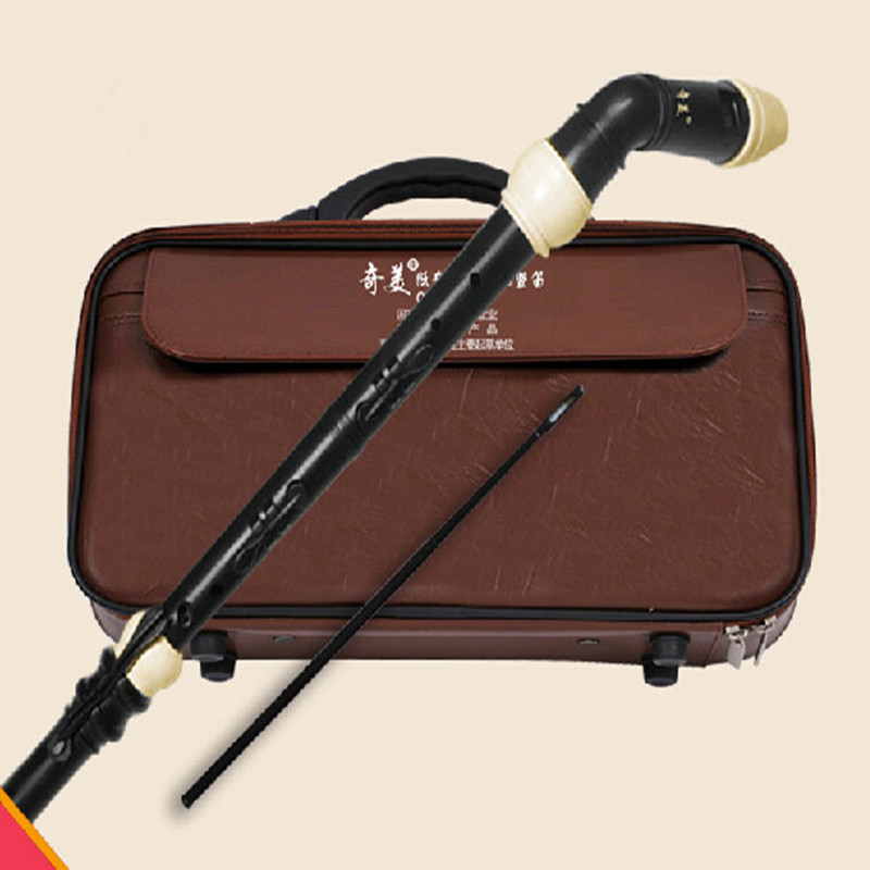 المهنية 8 ثقوب الباروك باس الر - مراجعة Musical Instrument Recorder وسعره