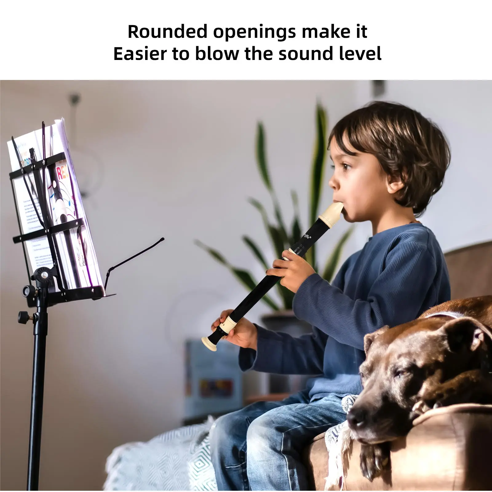 8-Hole مسجل الباروك نمط آلات ا - مراجعة Musical Instrument Recorder وسعره